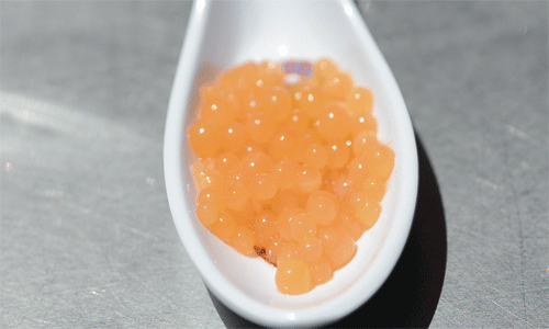 Caviar013