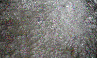 a06