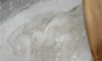 a09