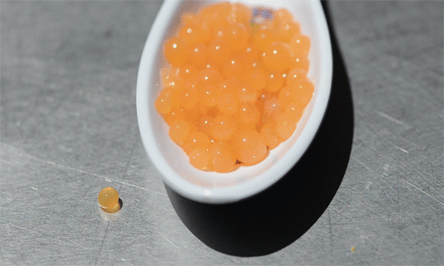 Caviar014