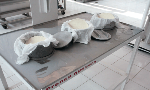 Queso_018