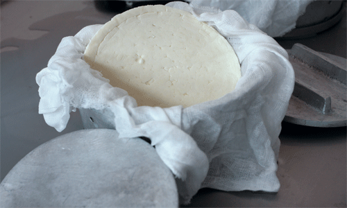 Queso_019