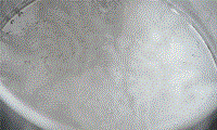 m08